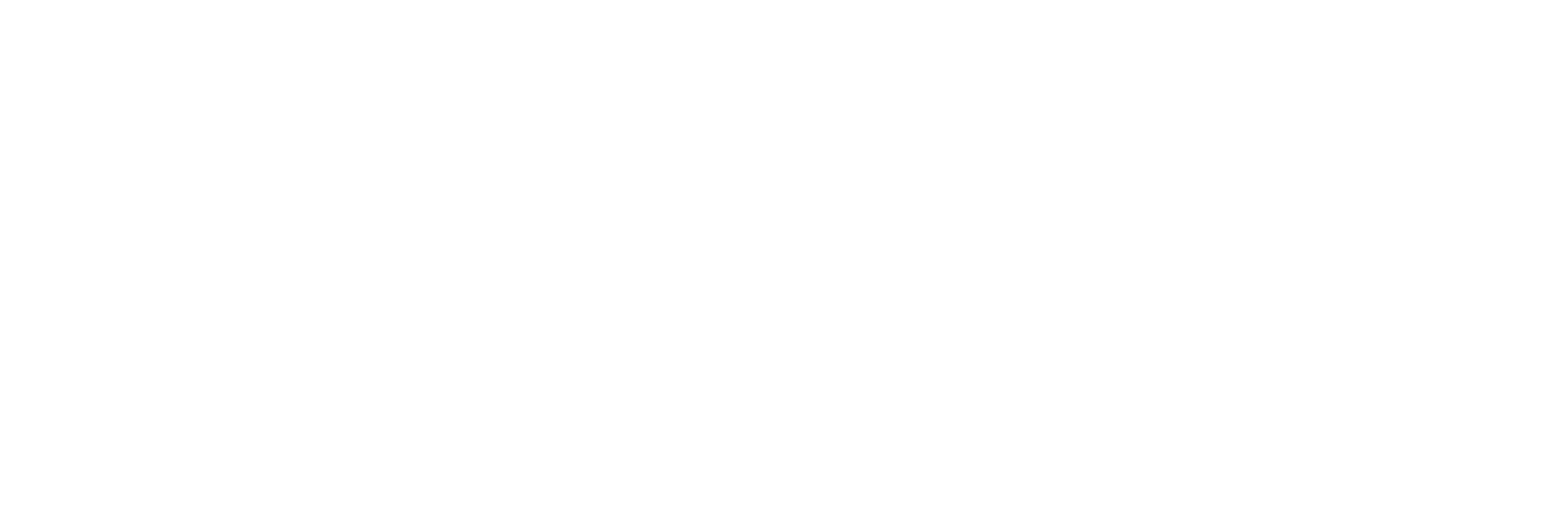 Preloader Logo Team SOLUTION